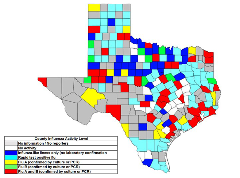 20232024 Texas Influenza Surveillance Activity Archives Texas DSHS